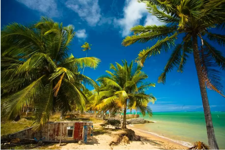 Praia do Patacho